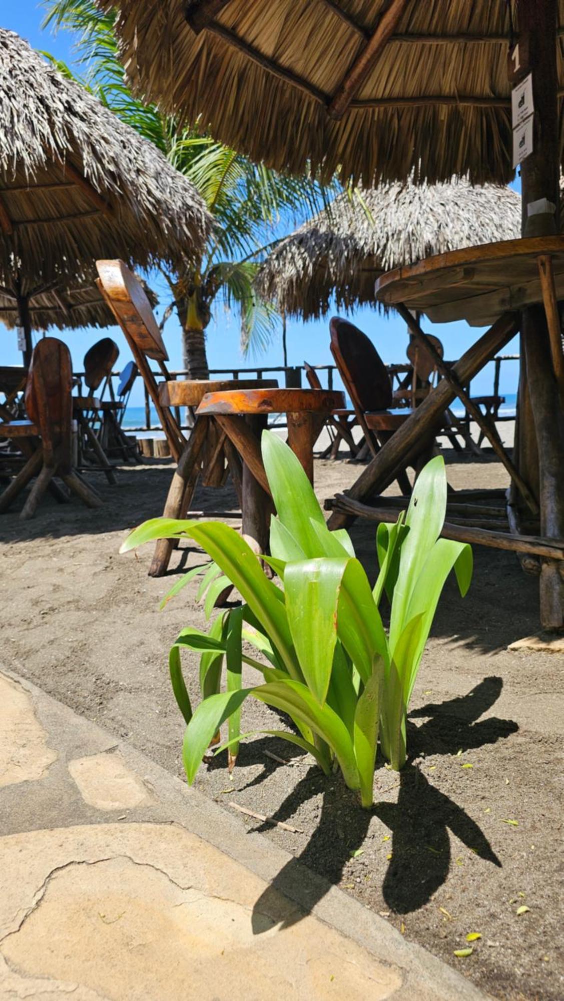 Mano A Mano Eco Hostal Las Peñitas Εξωτερικό φωτογραφία